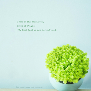 日本熟妇乄╳乄日本老妇mp3
