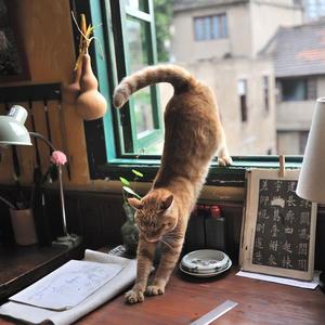 日本熟妇乄╳乄日本老妇mp3
